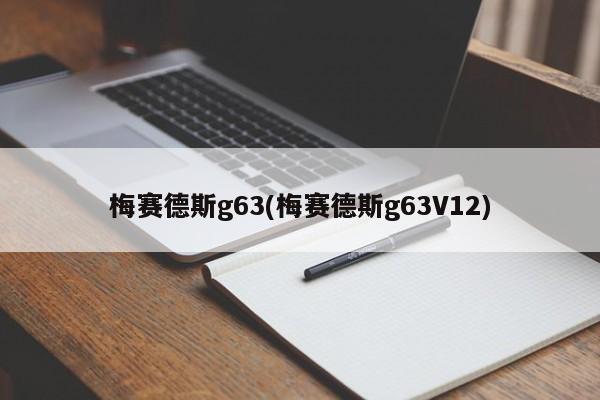 梅赛德斯g63(梅赛德斯g63V12)