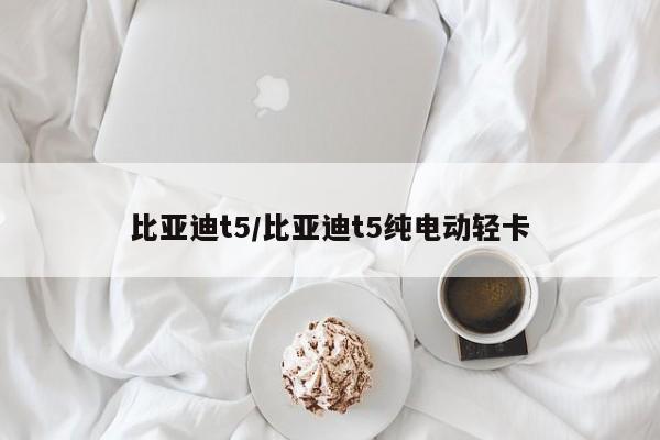 比亚迪t5/比亚迪t5纯电动轻卡